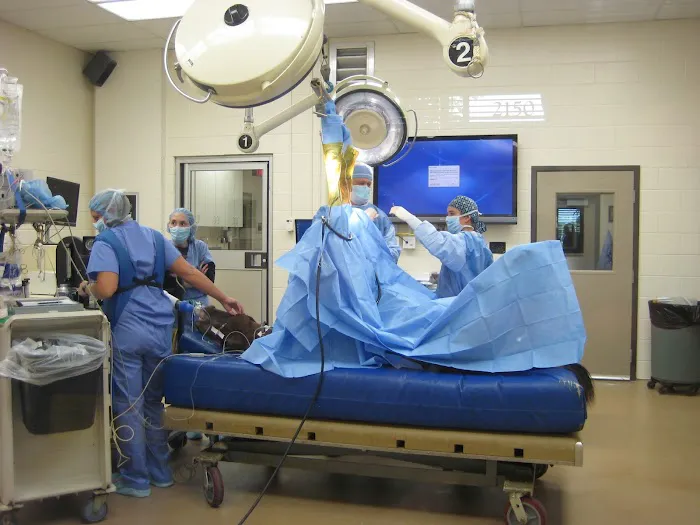 Rood & Riddle Equine Hospital Picture 3