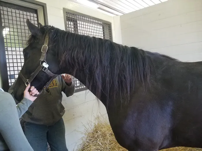 Rood & Riddle Equine Hospital Picture 5