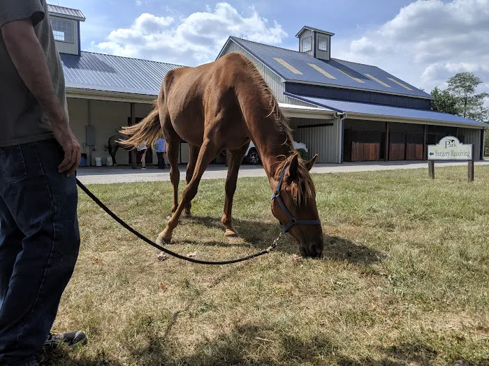 Park Equine Hospital Picture 3