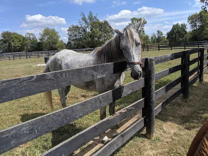 Park Equine Hospital Picture 7