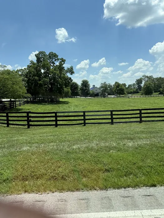 Park Equine Hospital Picture 5