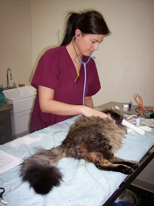 Animal Clinic Leestown Road Picture 5