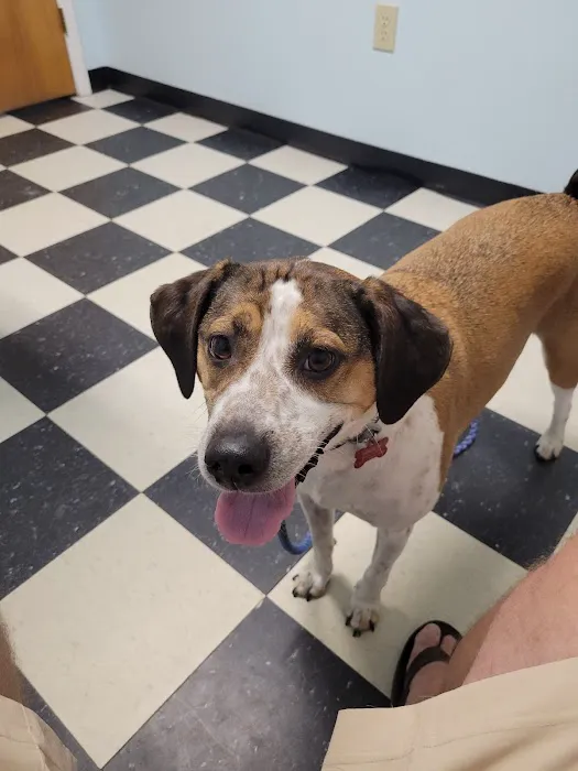 Masterson Animal Clinic Picture 3