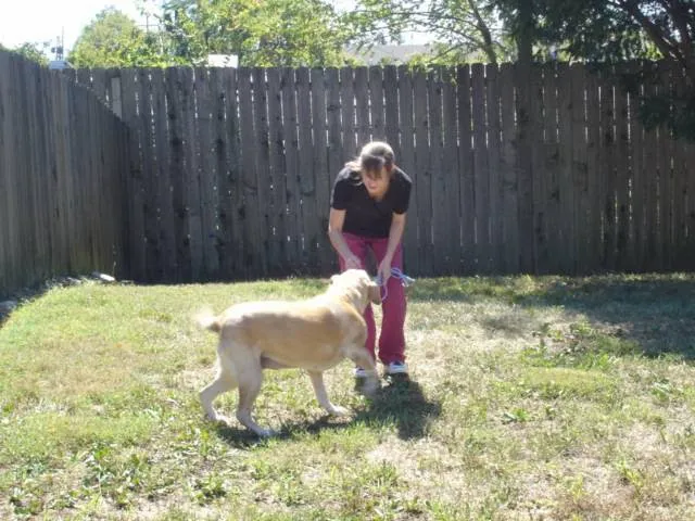 Masterson Animal Clinic Picture 5