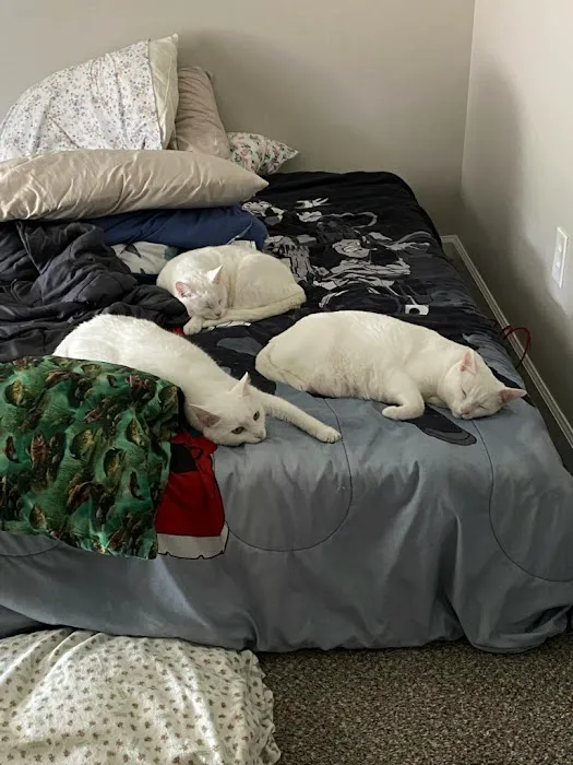 Commonwealth Animal Care Picture 3