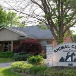 Animal Clinic At Equestrian Woods