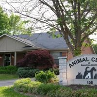 Animal Clinic At Equestrian Woods ico