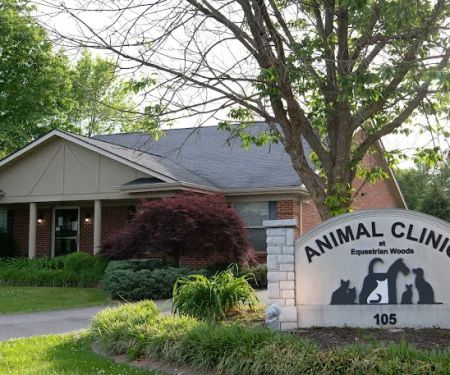 Animal Clinic At Equestrian Woods