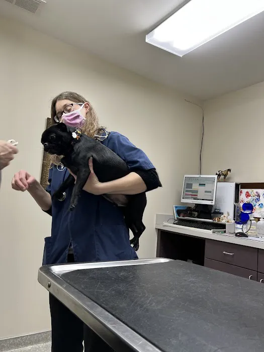 Animal Clinic At Equestrian Woods Picture 2
