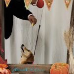 Animal Care Clinic