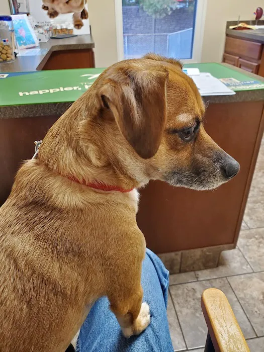 Animal Care Clinic Picture 4