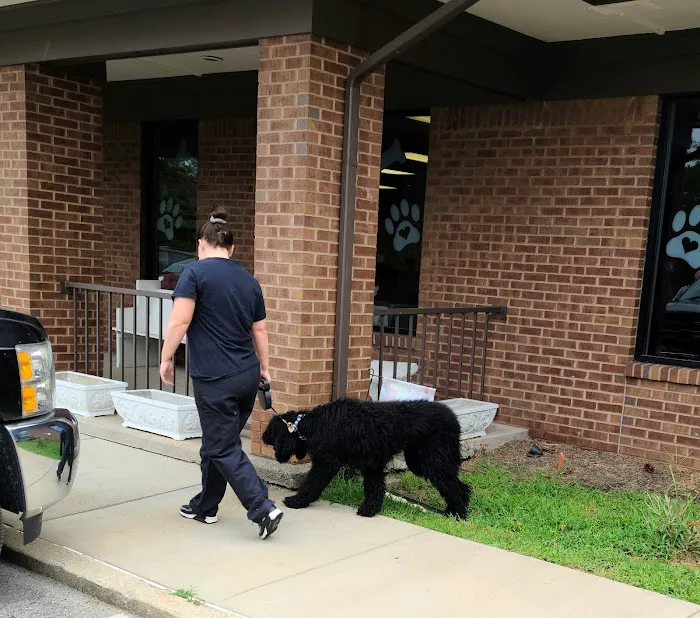 Animal Care Clinic Picture 8