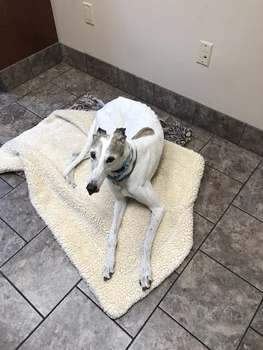 Animal Care Clinic Picture 10