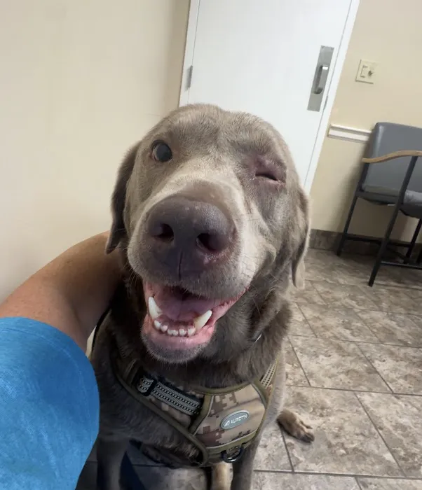 Animal Care Clinic Picture 6
