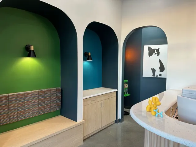 Blue Paw Primary Pet Care Picture 4