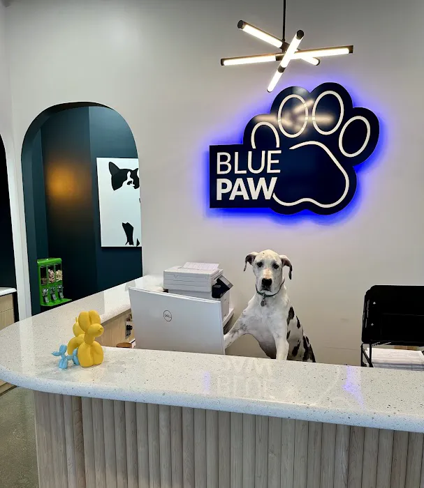 Blue Paw Primary Pet Care Picture 6
