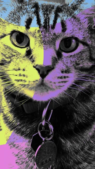 House-Call Veterinary Service Picture 4