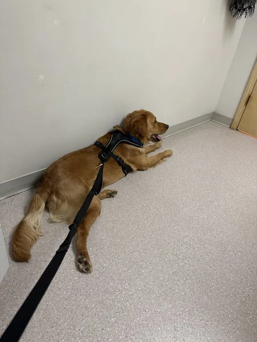 Broadway Veterinary Clinic Picture 8