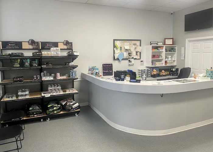 Boston Road Animal Clinic Picture 5