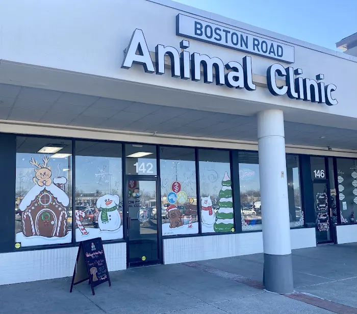 Boston Road Animal Clinic Picture 9