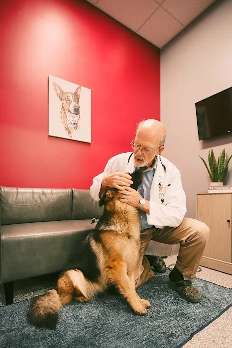 PetVet365 Pet Hospital Lexington/Harrodsburg Rd Picture 7