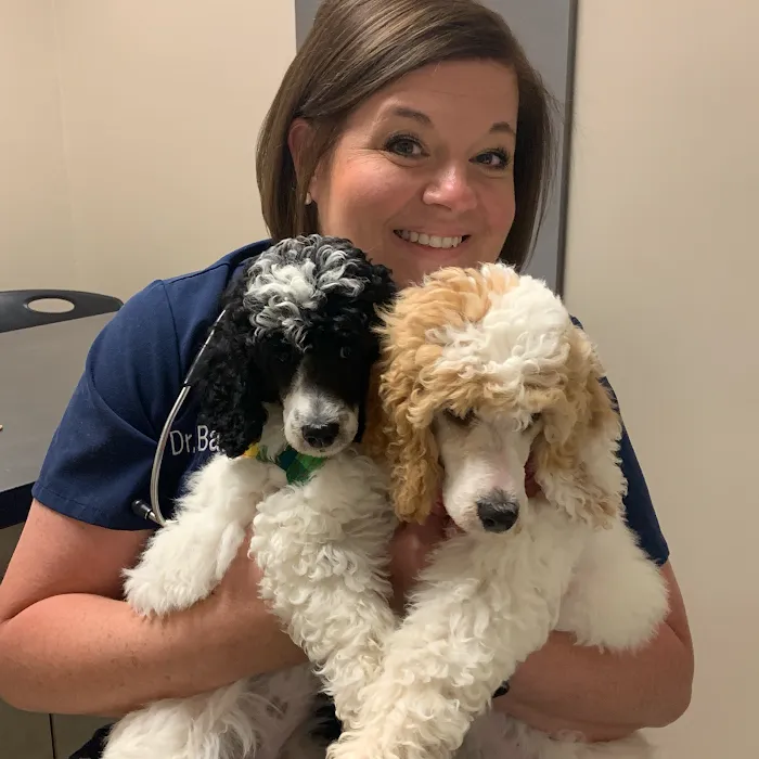 Banks Veterinary Clinic Picture 5