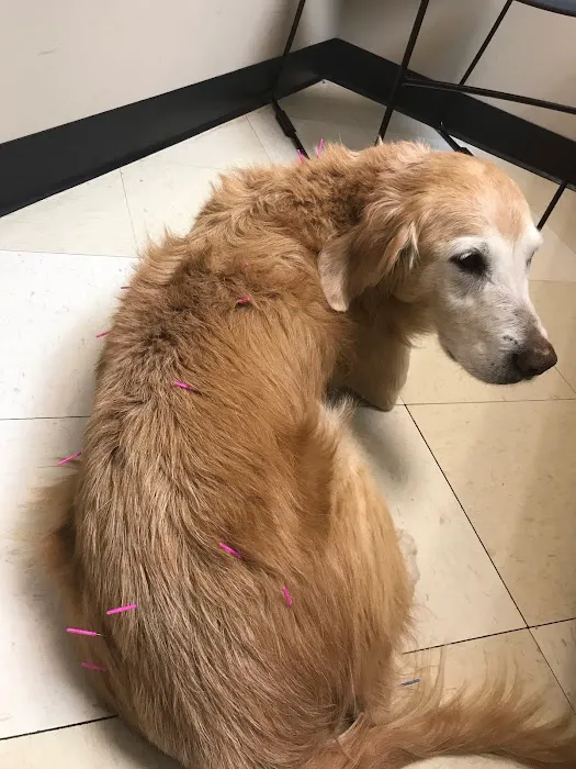 Banks Veterinary Clinic Picture 7