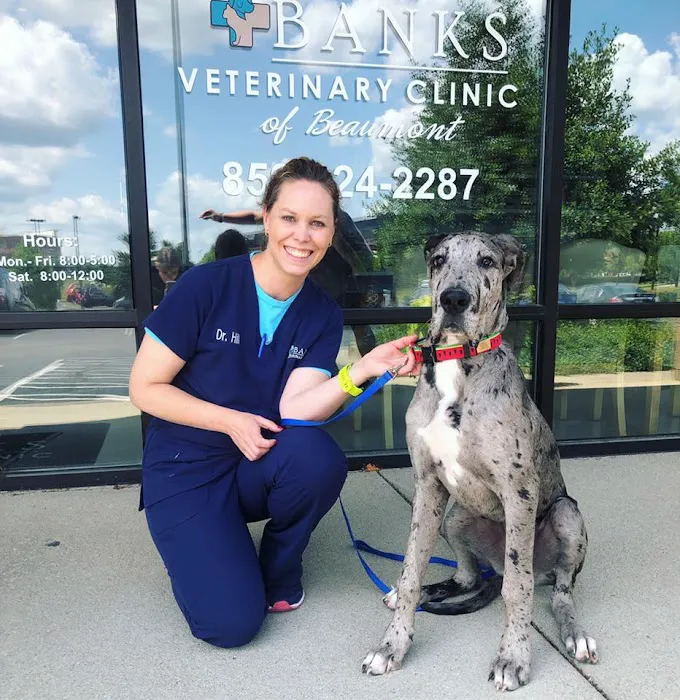 Banks Veterinary Clinic Picture 1