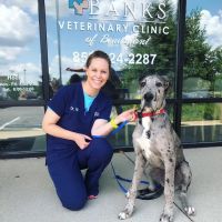 Banks Veterinary Clinic ico