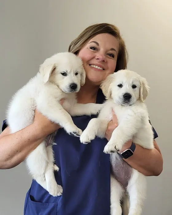 Banks Veterinary Clinic Picture 9