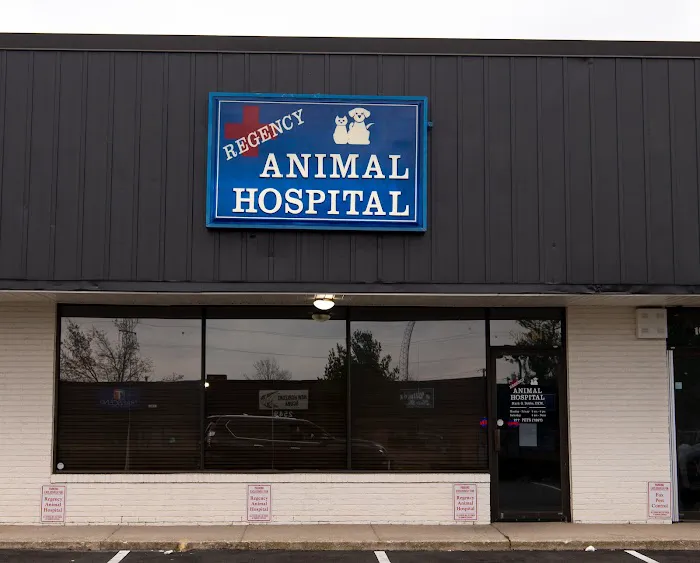 Regency Animal Hospital Picture 3