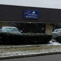 Regency Animal Hospital ico
