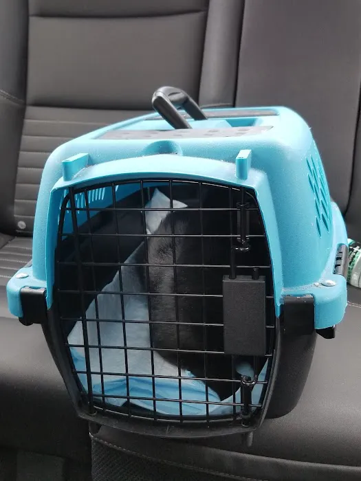 Woodstock Spay & Neuter Clinic Picture 7