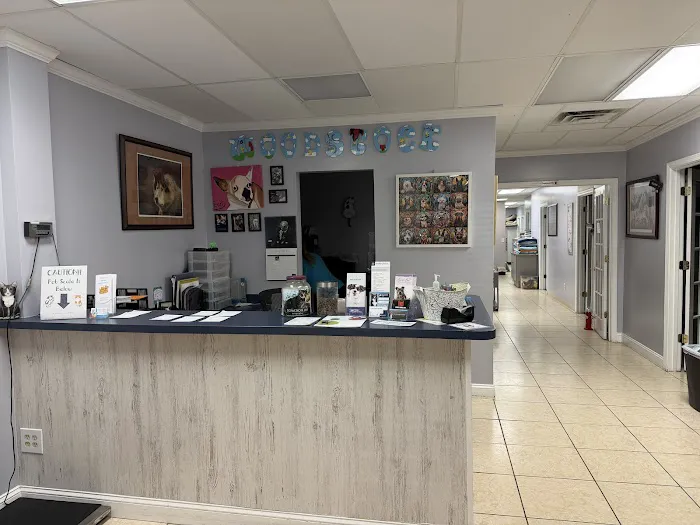 Woodstock Spay & Neuter Clinic Picture 2