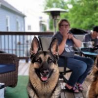 Woodstock Spay & Neuter Clinic ico