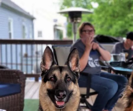 Woodstock Spay & Neuter Clinic