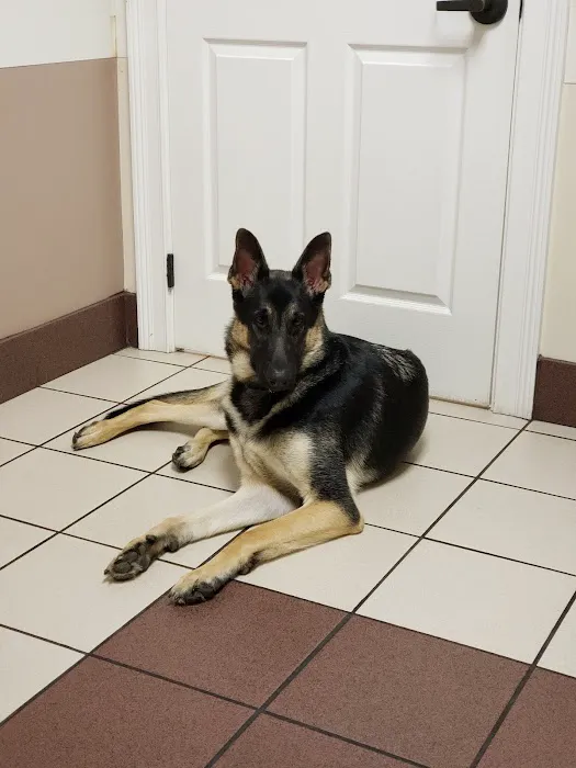 MedVet Lexington Picture 2