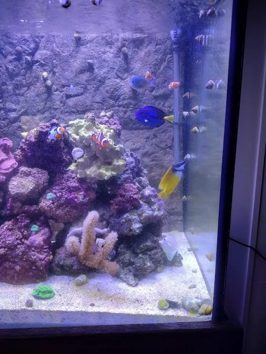 Reef Life Aquatics Picture 7