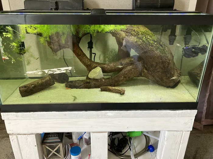 Reef Life Aquatics Picture 5
