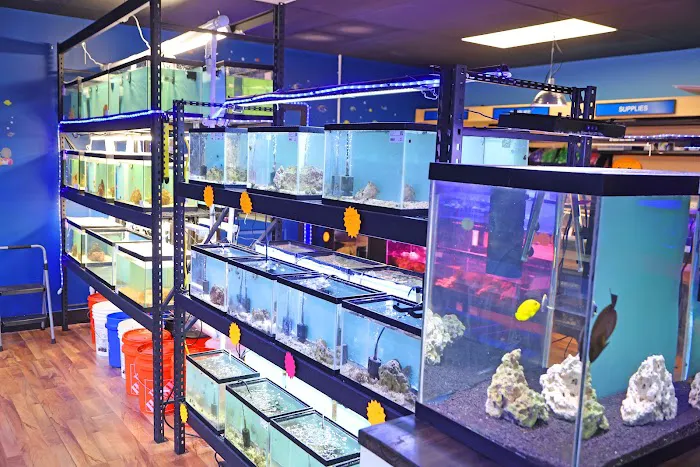 Reef Life Aquatics Picture 6