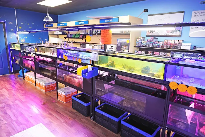 Reef Life Aquatics Picture 4