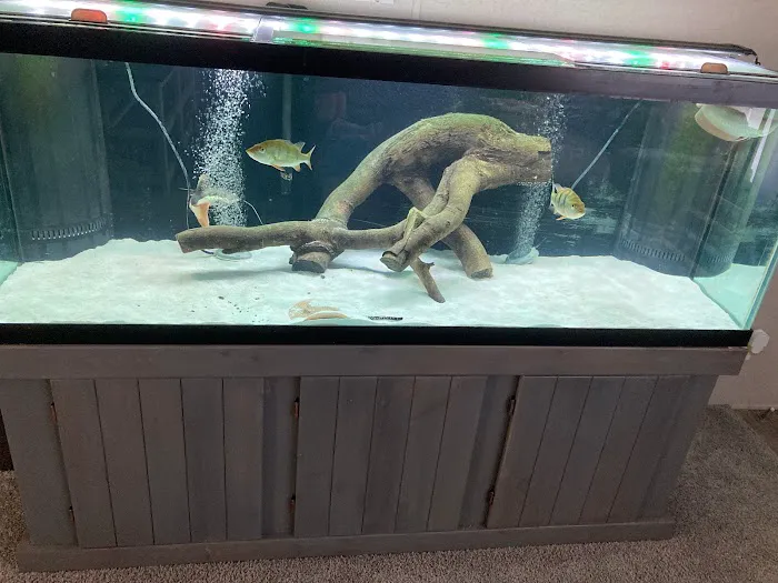 Reef Life Aquatics Picture 9