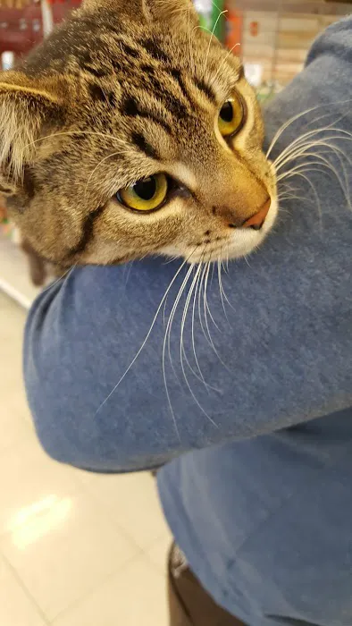 Petco Picture 2