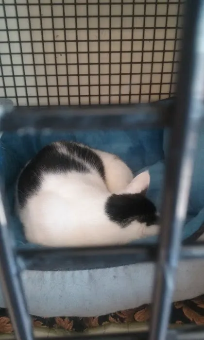 Petco Picture 3