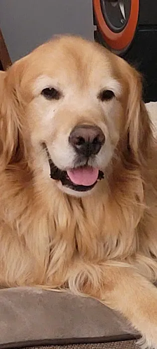 Petco Picture 10