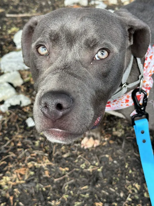 Petco Picture 8