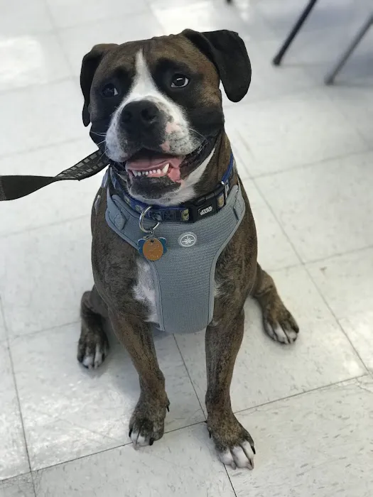 Petco Picture 9
