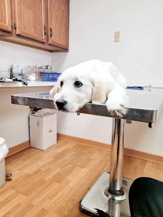 Mt Healthy Animal Hospital Picture 1