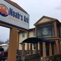 Noah's Ark Animal Clinic of Colerain ico
