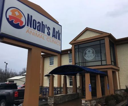 Noah's Ark Animal Clinic of Colerain
